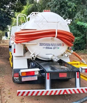 Dedetização em Pará de Minas MG - 3